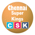 IPL Chennai Super Kings Squad 2015