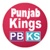 IPL Kings XI Punjab squad 2015