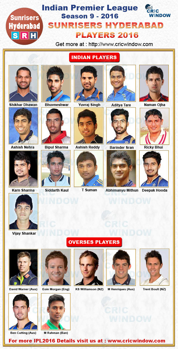 ipl 2016 Hyderabad squad
