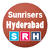 IPL Sunrisers Hyderabad squad 2015
