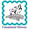 Faisalabad Wolves Logo