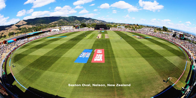 Saxton Oval Nelson