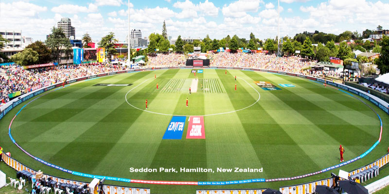 Seddon Park, Hamilton