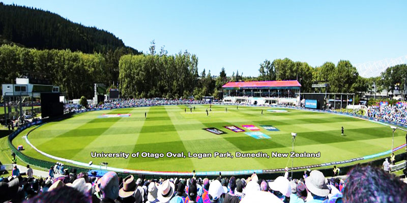 university oval dunedin